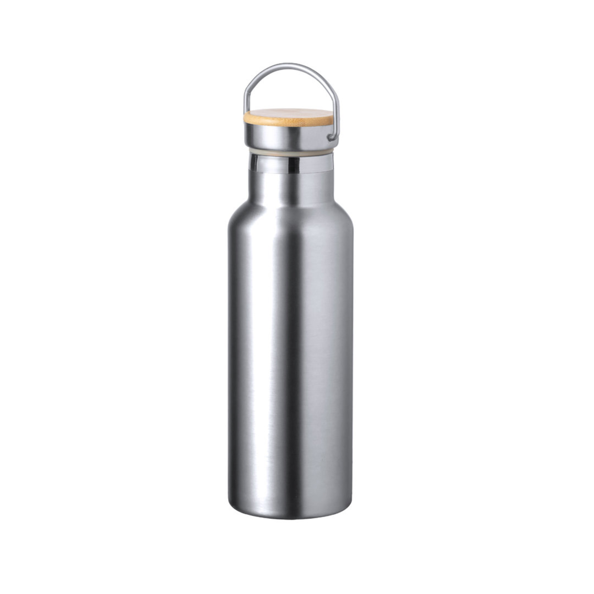 Insulated Bottle Naxel