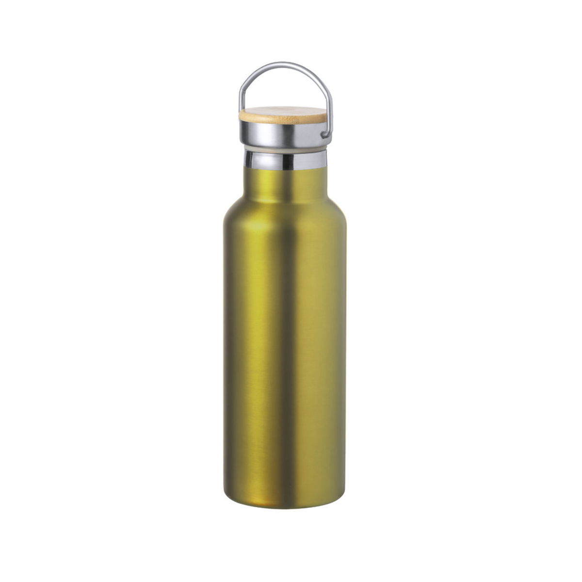 Insulated Bottle Naxel